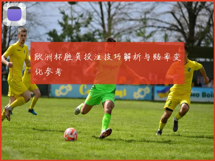 欧洲杯胜负投注技巧解析与赔率变化参考