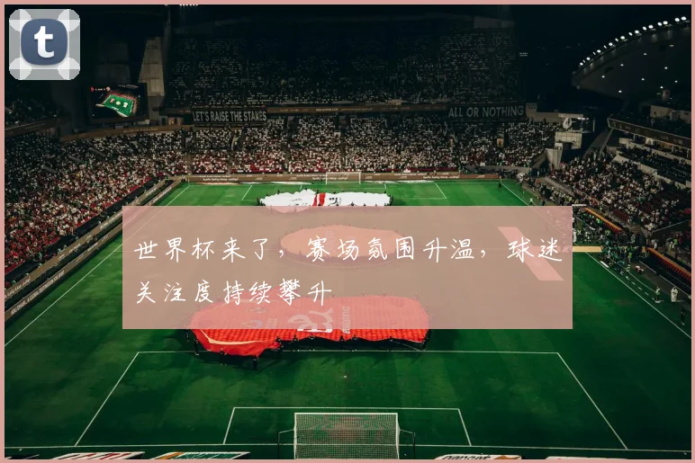世界杯来了,赛场氛围升温,球迷关注度持续攀升