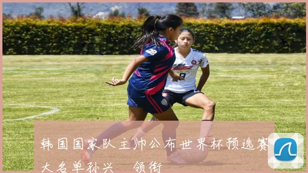 韩国国家队主帅公布世界杯预选赛大名单孙兴慜领衔